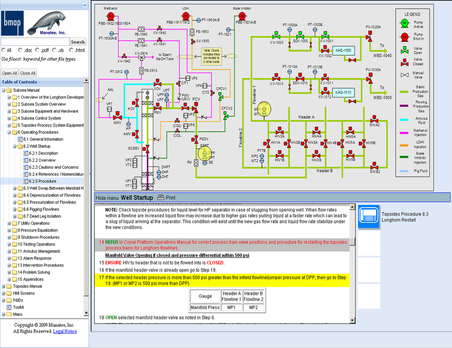 B-MAP Interactive Manual Procedure Schematic Window Pane